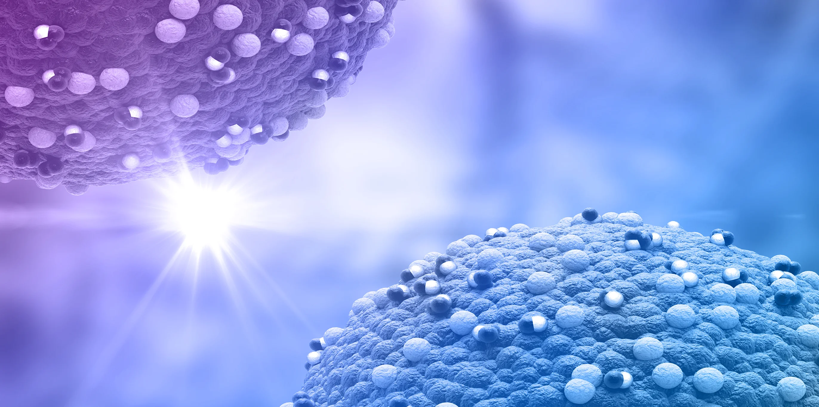 Cord Tissue Collection Process
